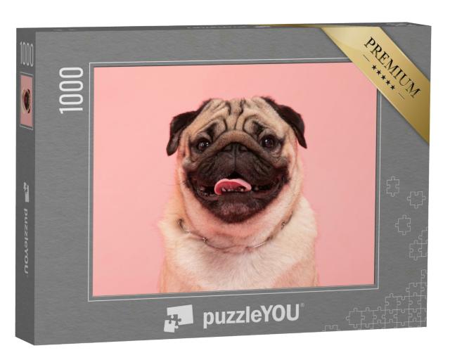 Puzzle 1000 Teile „Ein Mops auf rosa Hintergrund“