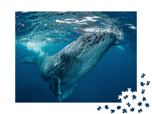 Puzzle 1000 Teile „Wale, Tonga“