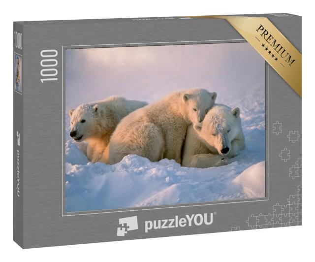 Puzzle 1000 Teile „Eisbärin mit ihren Jungen“