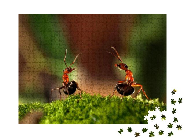 Puzzle 1000 Teile „Der Kampf zweier Ameisen“