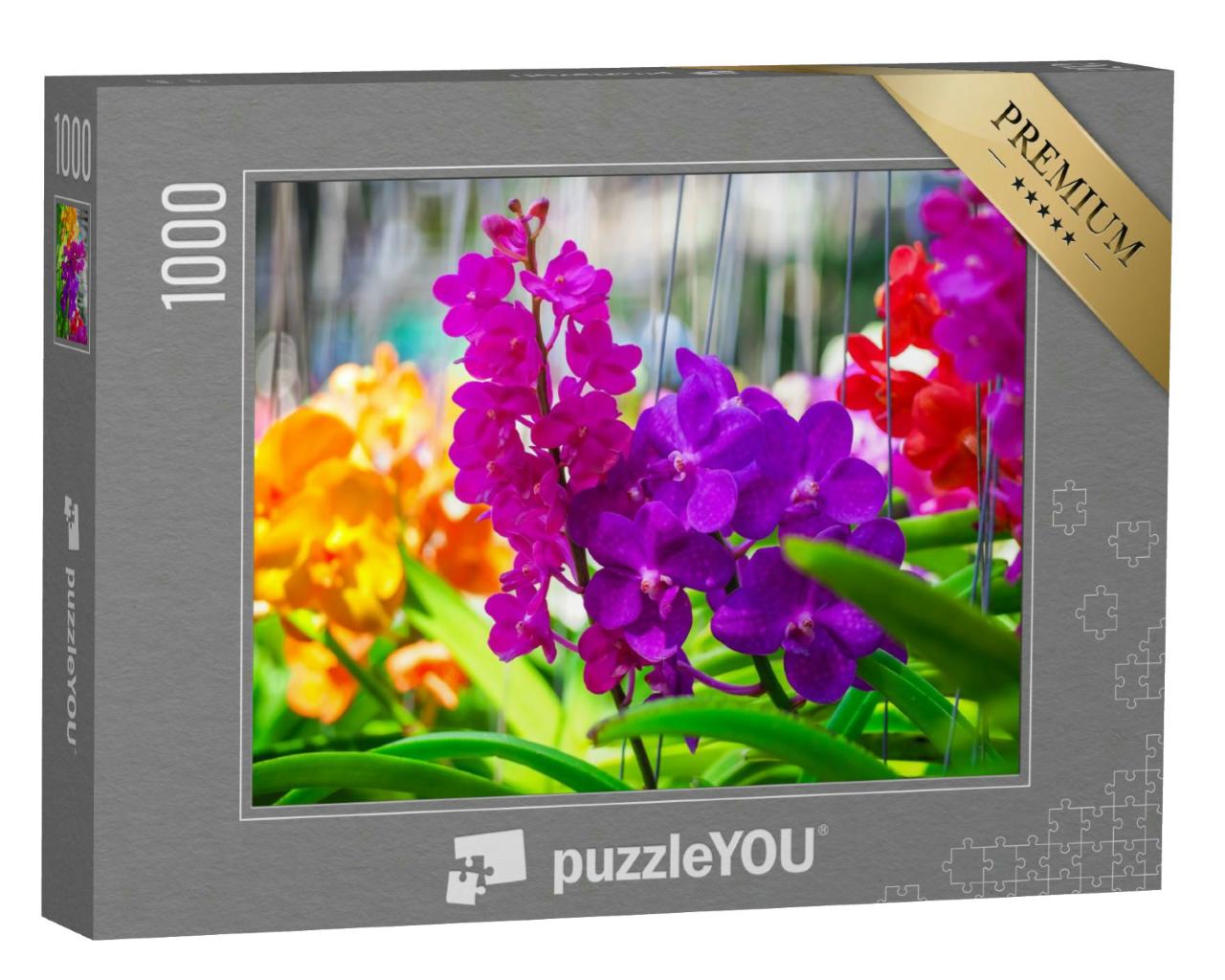 Puzzle 1000 Teile „Wunderschöne bunte Orchideenblüten“