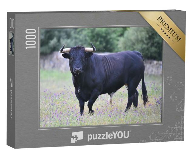 Puzzle 1000 Teile „Schwarzer Stier in Spanien auf der grünen Wiese“