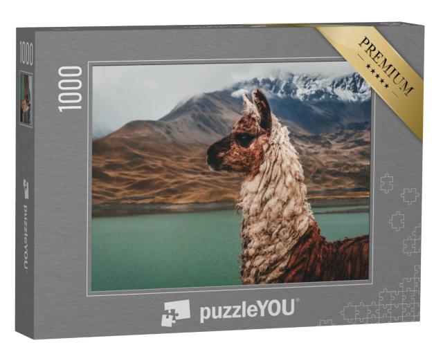 Puzzle 1000 Teile „Lama an der Laguna Tuni in Bolivien“