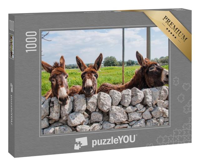 Puzzle 1000 Teile „Esel blicken durch eine Steinmauer, Modica“