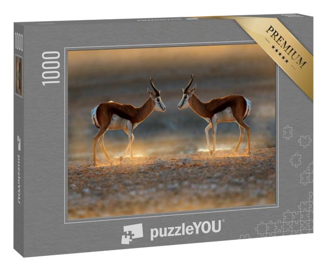 Puzzle 1000 Teile „Springbockantilope bei Sonnenuntergang, Namibia“