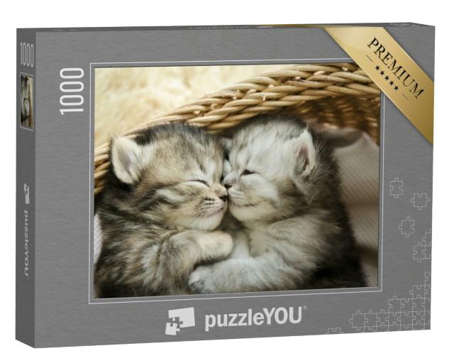 Puzzle 1000 Teile „Zwei niedliche schlafende Tigerkätzchen“