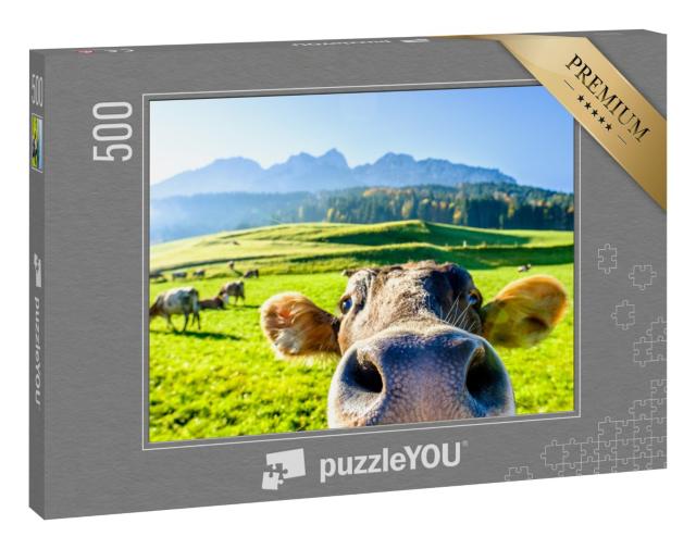 Puzzle 500 Teile „Neugierige Kuh“