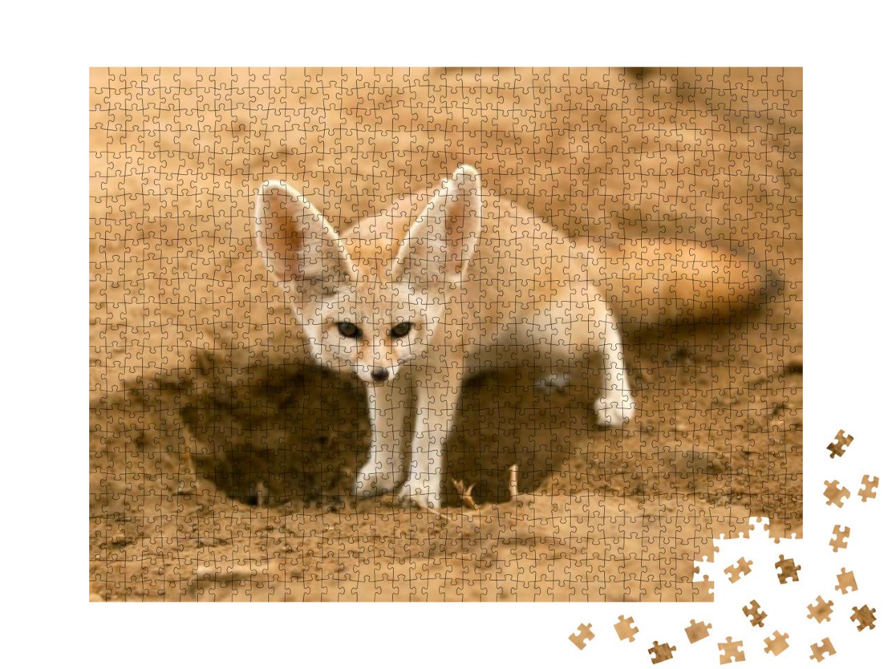 Puzzle 1000 Teile „Fennek-Fuchs auf der Hut“