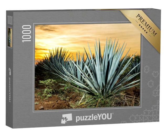 Puzzle 1000 Teile „Tequila-Plantage, Guadalajara, Mexiko“