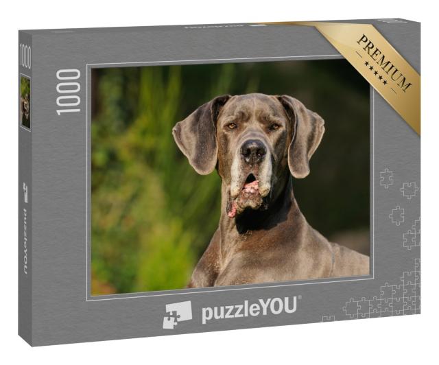 Puzzle 1000 Teile „Deutsche Dogge  “