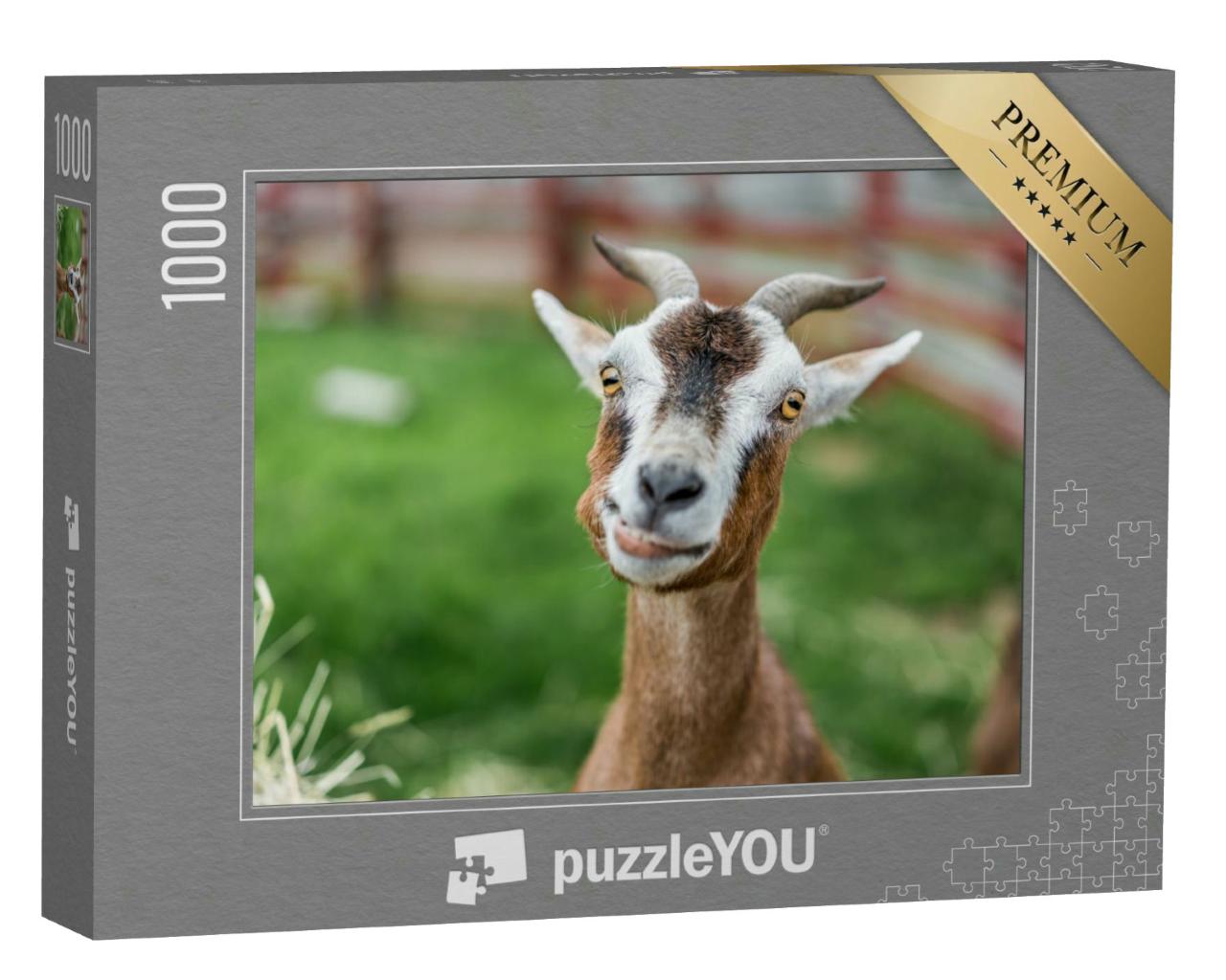 Puzzle 1000 Teile „Nahaufnahme: niedliche Ziege auf der Wiese“