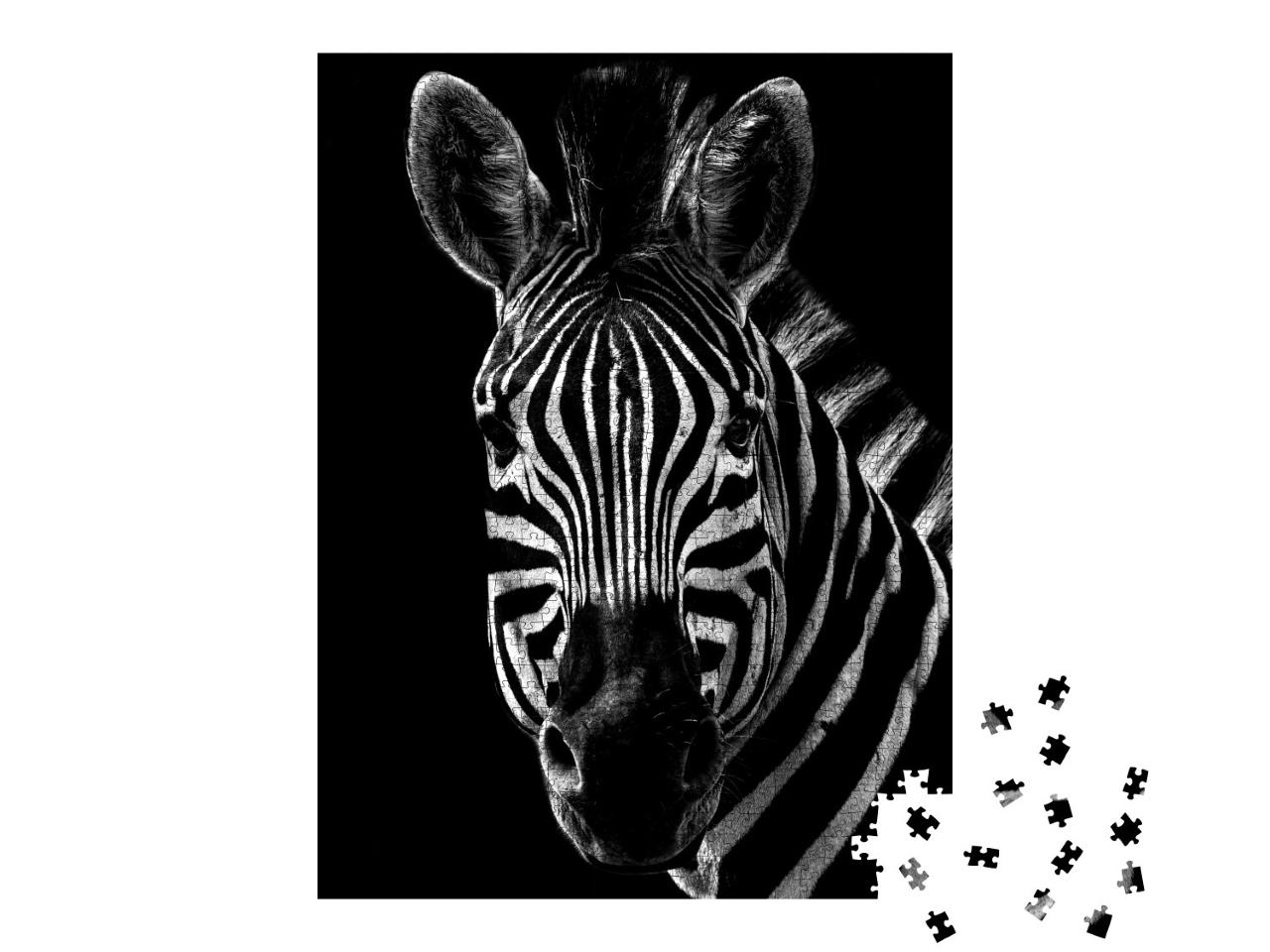Puzzle 1000 Teile „Portrait eines Zebras “