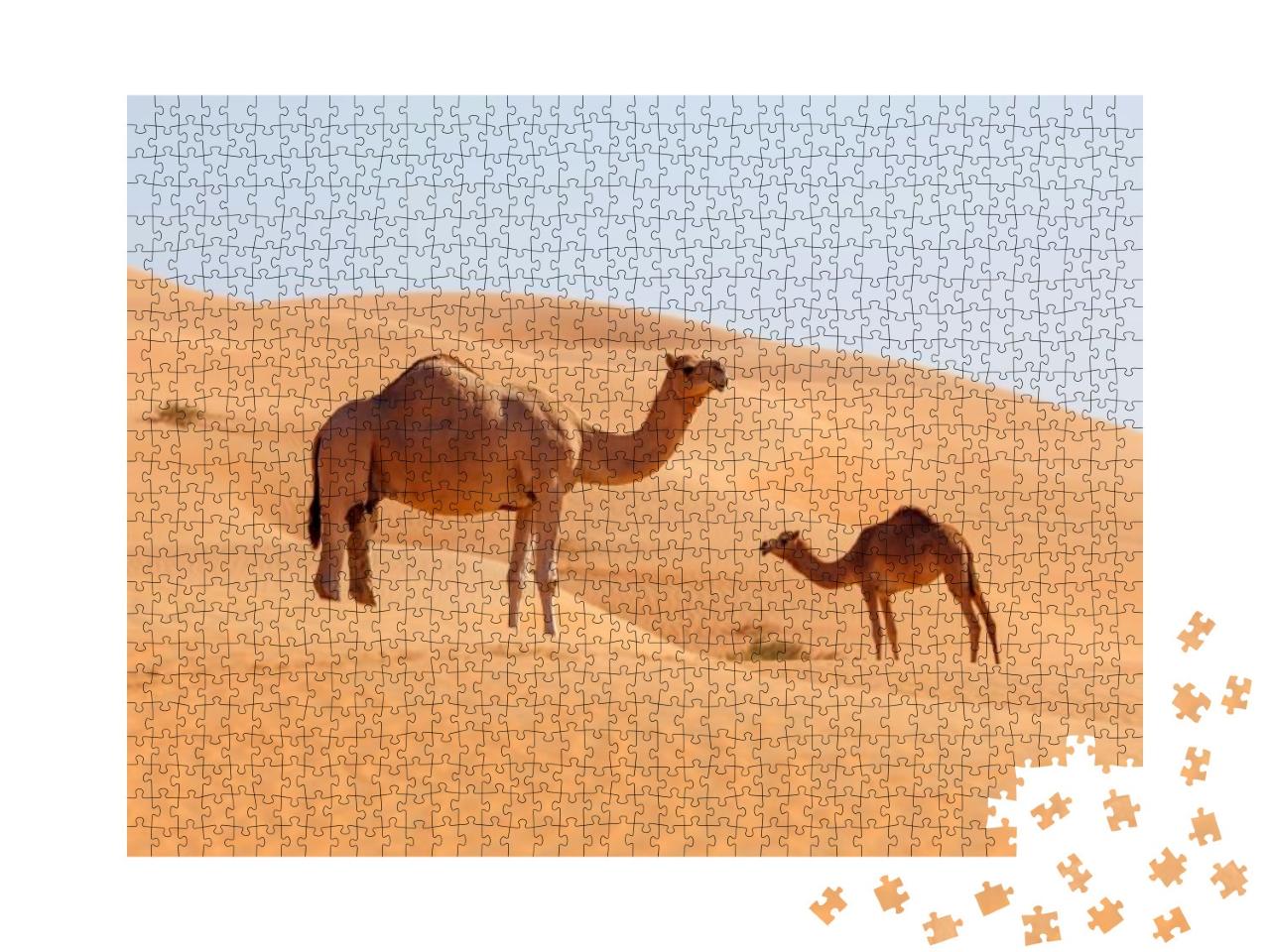 Puzzle 1000 Teile „Kamel-Mama mit Jungtier in einer Wüste im Nahen Osten“