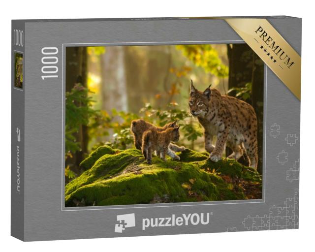 Puzzle 1000 Teile „Junge Luchse“