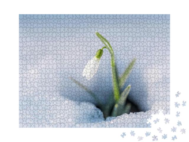 Puzzle 1000 Teile „Schneeglöckchen im Schnee“