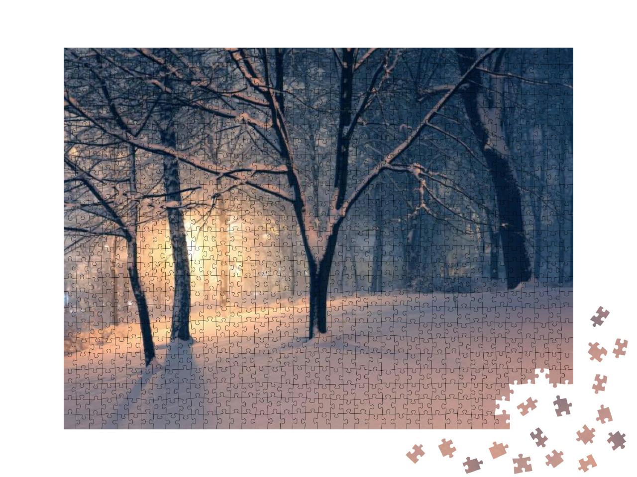 Puzzle 1000 Teile „Winterabend im Park “