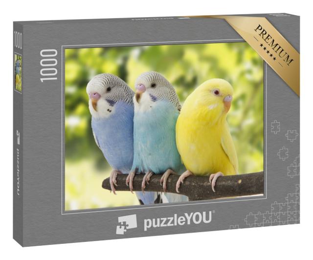 Puzzle 1000 Teile „Drei Wellensittiche auf einem Ast“
