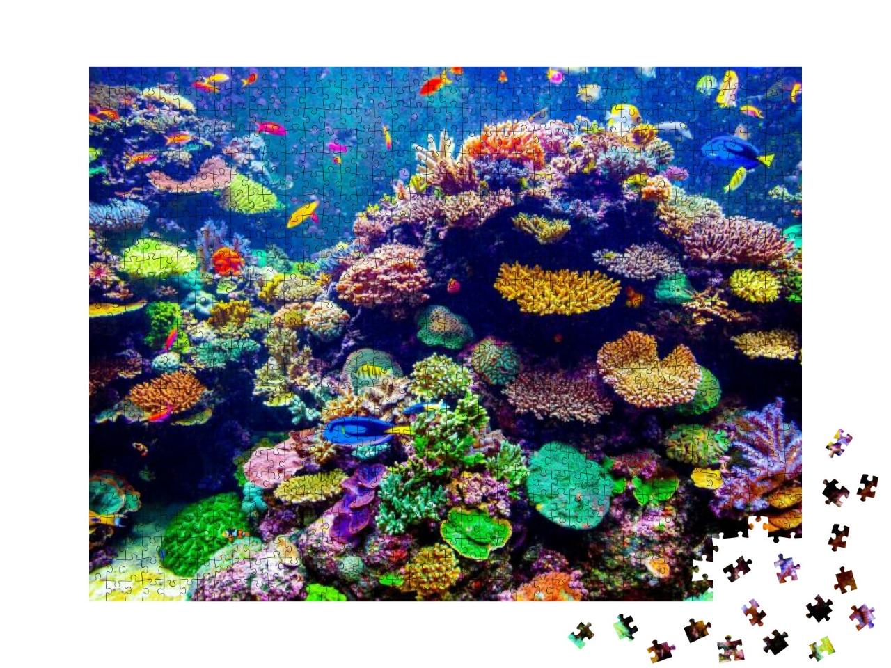 Puzzle 1000 Teile „Singapur Aquarium - Korallen und tropische Fische“