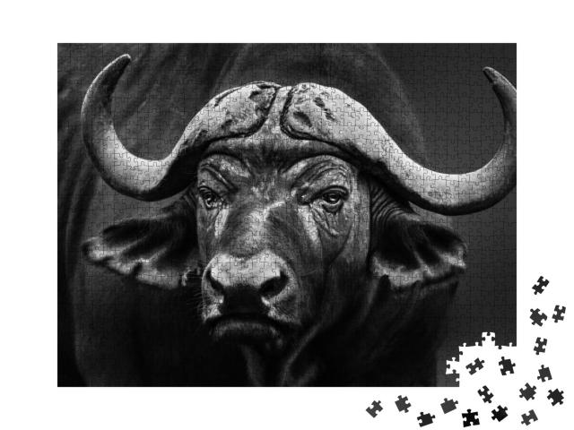 Puzzle 1000 Teile „Nahaufnahme eines Büffelbullen, schwarz-weiß“