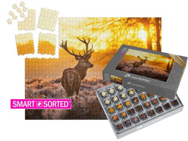 SMART SORTED® | Puzzle 1000 Teile „Rothirsch in der Morgensonne“