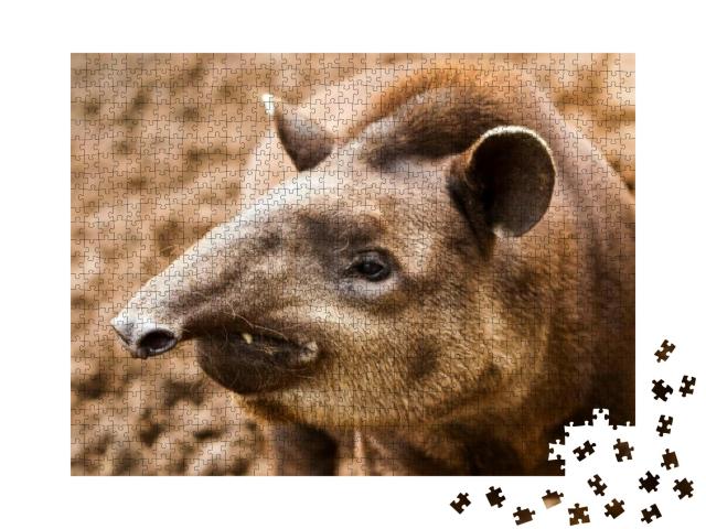 Puzzle 1000 Teile „Nahaufnahme eines Tapirs in Ecuador“