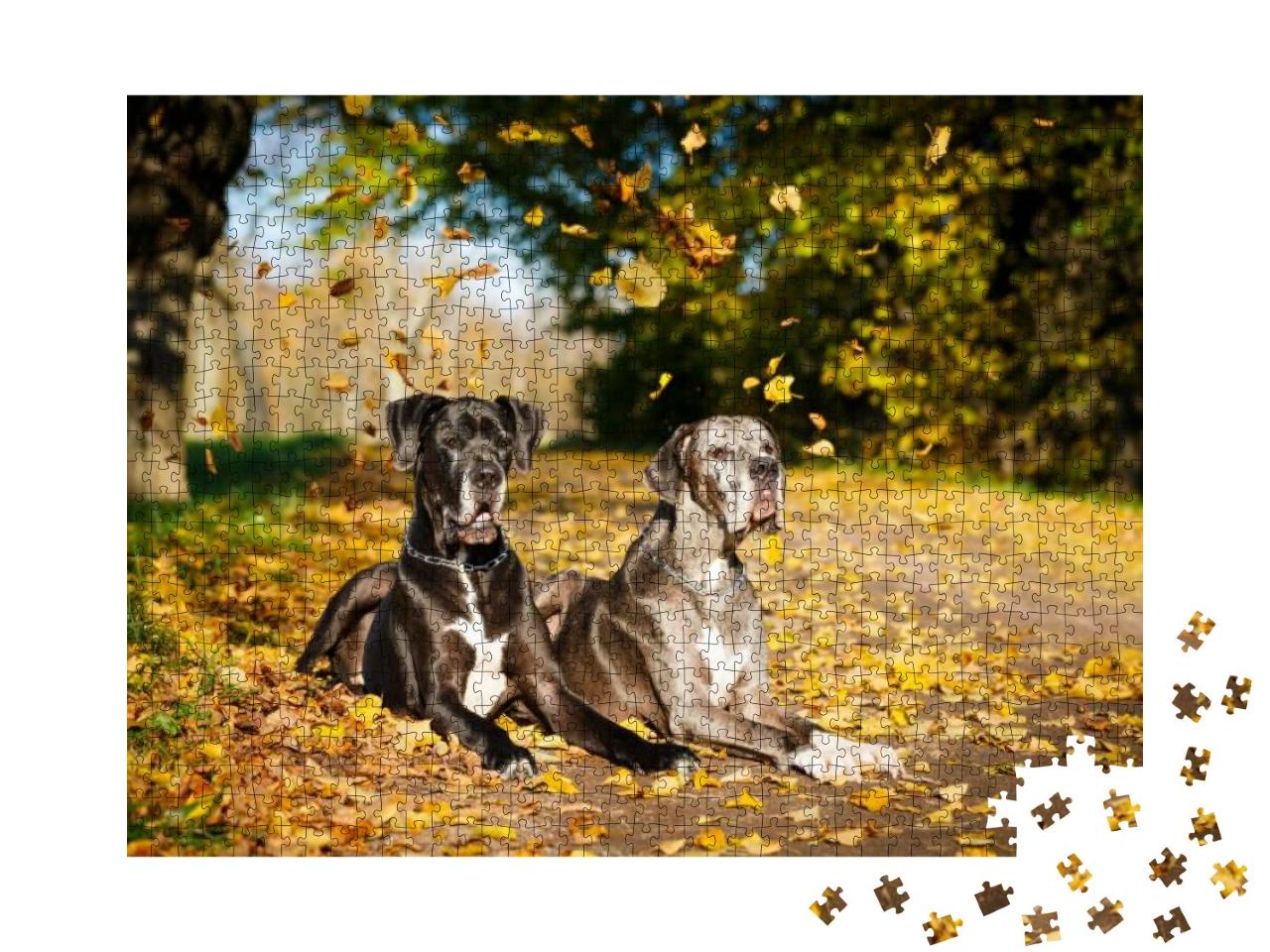 Puzzle 1000 Teile „Zwei Doggenhunde“