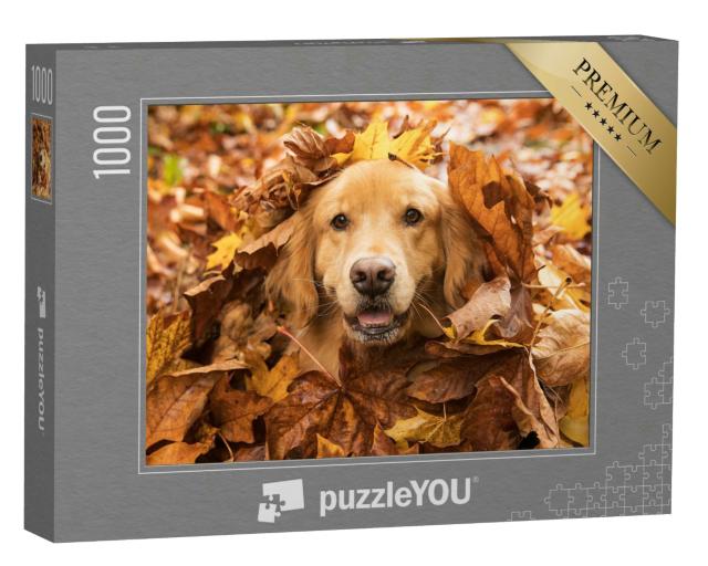 Puzzle 1000 Teile „Golden Retriever, versteckt im Herbstlaub“
