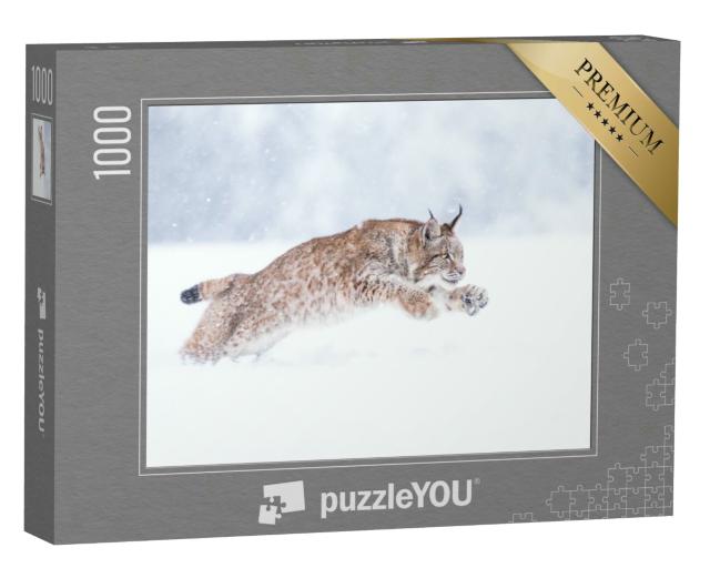 Puzzle 1000 Teile „Junger Eurasischer Luchs im Schnee“