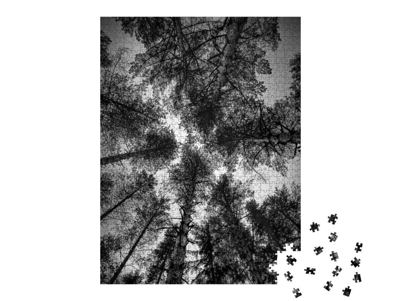 Puzzle 1000 Teile „Schwarz-Weiß-Landschaftsbilder“
