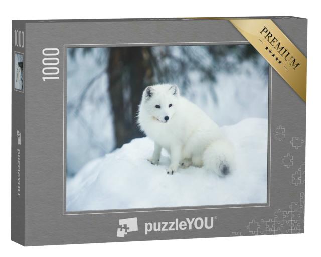 Puzzle 1000 Teile „Nahaufnahme eines Polarfuchses in Finnland“