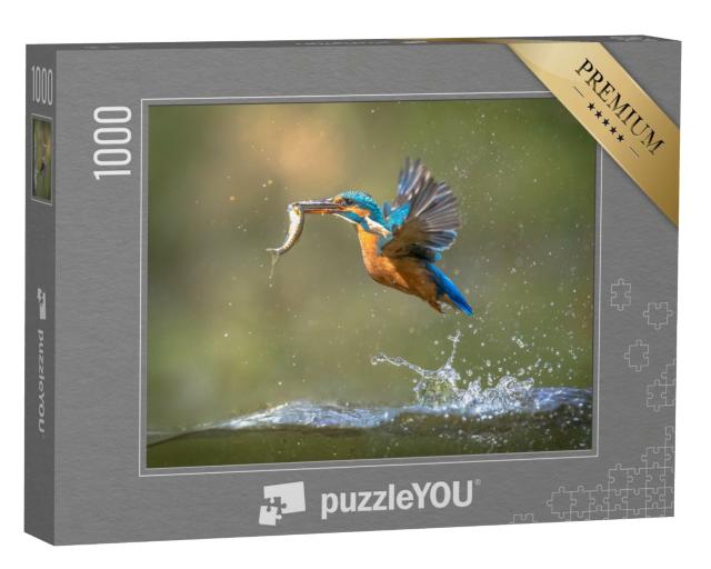Puzzle 1000 Teile „Eisvogel mit Fisch im Schnabel taucht auf“
