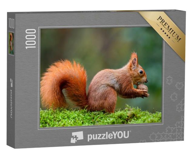 Puzzle 1000 Teile „Ein rotes Eichhörnchen frisst eine Nuss auf einem Moosstamm“