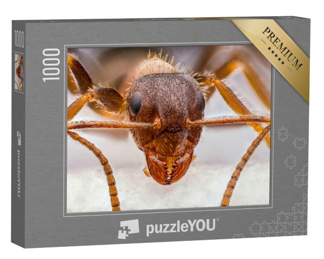Puzzle 1000 Teile „Winzige rote Ameise in Nahaufnahme“