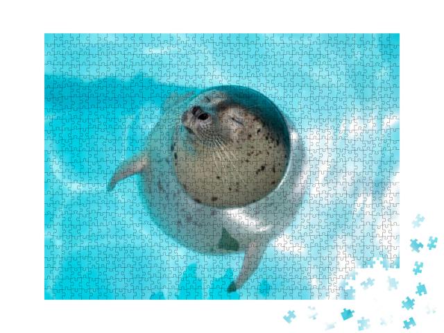 Puzzle 1000 Teile „Seehundbaby, entspannt im Wasser“
