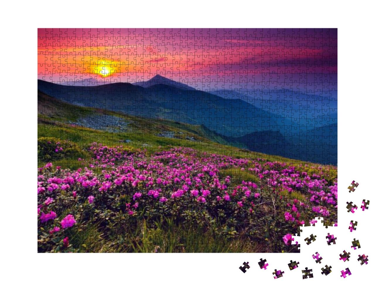 Puzzle 1000 Teile „Rosa Rhododendronblüten über den Bergen“