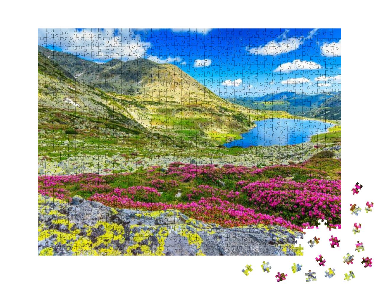 Puzzle 1000 Teile „Gletschersee, hohe Berge und rosa Rhododendron, Karpaten, Rumänien“
