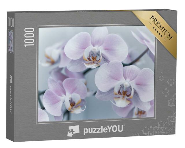 Puzzle 1000 Teile „Schöne zarte Orchidee “
