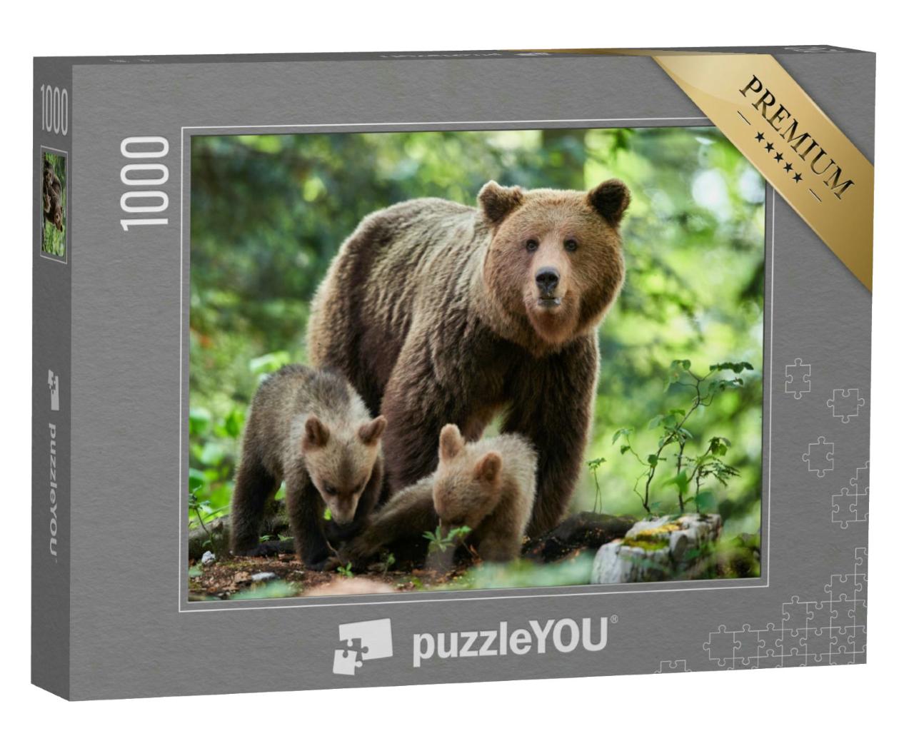 Puzzle 1000 Teile „Ein Wilder Braunbär in Nahaufnahme“