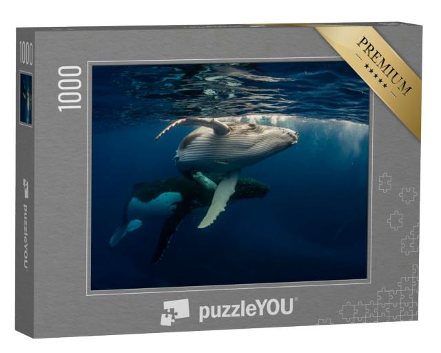 Puzzle 1000 Teile „Buckelwal und Baby beim Schwimmen direkt unter der Wasseroberfläche“