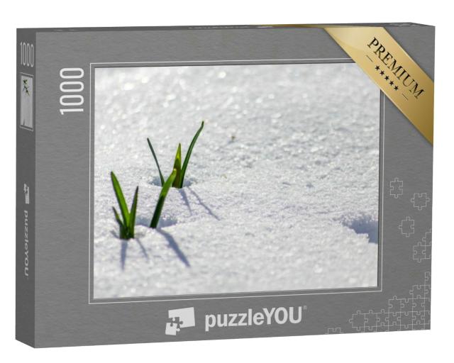 Puzzle 1000 Teile „Frisches Grün blinzelt durch die Schneedecke“