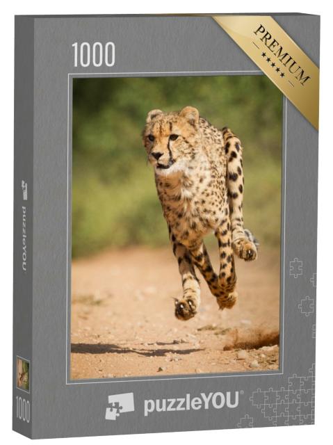 Puzzle 1000 Teile „Schneller Gepard, Kruger Park, Südfrika“