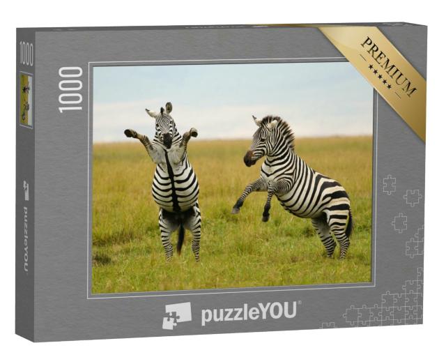 Puzzle 1000 Teile „Spiel oder Kampf? Burchell- oder Steppenzebra“