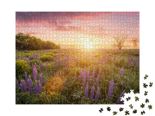 Puzzle 1000 Teile „Sonnenstrahlen über einer Wiese mit blühenden Lupinen“