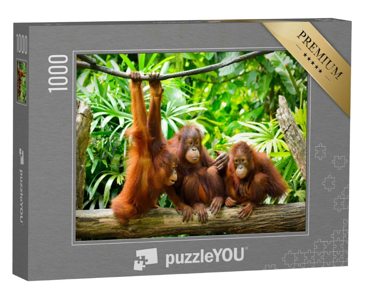 Puzzle 1000 Teile „Nahaufnahme von Orang-Utans“
