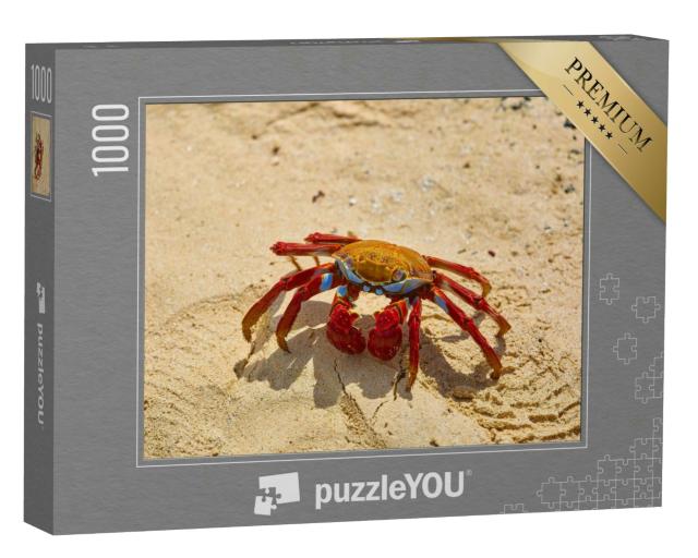 Puzzle 1000 Teile „Sally Lightfoot Krabbe auf gelbem Sand, Galapagosinseln, Ecuador“