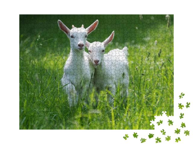 Puzzle 1000 Teile „Zwei Ziegenbabys im hohen Sommergras“