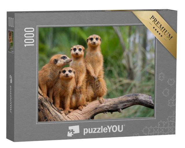 Puzzle 1000 Teile „Familie der Erdmännchen“