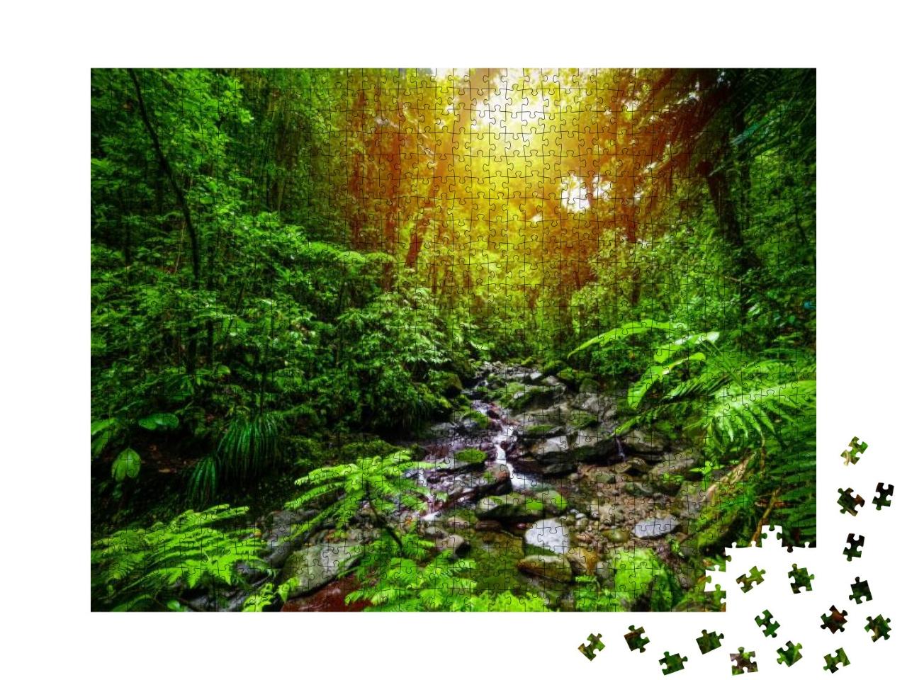 Puzzle 1000 Teile „Kleiner Bach im Dschungel von Guadeloupe, Kleine Antillen, Karibik“