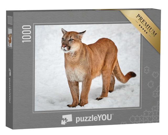 Puzzle 1000 Teile „Puma als Wildkatze im Schnee“