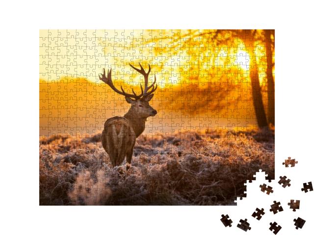 Puzzle 500 Teile „Rothirsch in der Morgensonne“